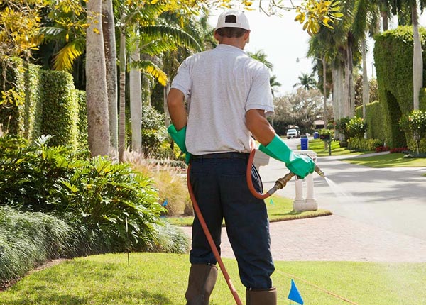 About Staffordville CT Pest Control